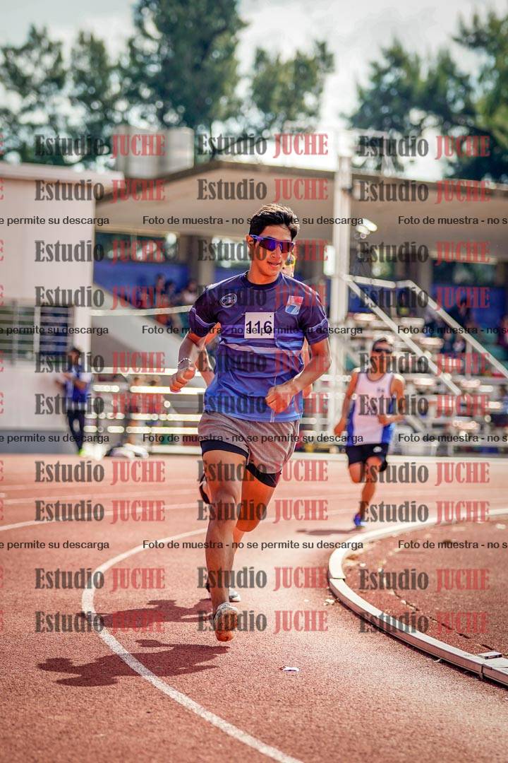 Fotos de los 800 m llanos de varones