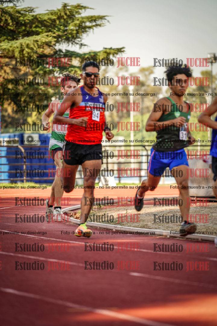 Fotos de los 800 m llanos de varones