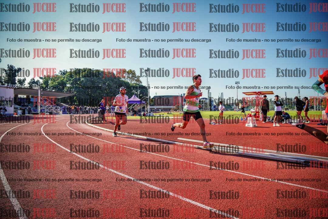 Fotos de los 800 m llanos de varones