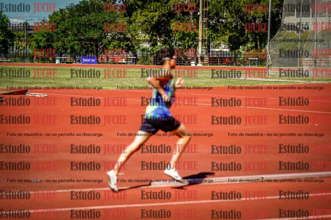 Fotos de los 800 m llanos de varones