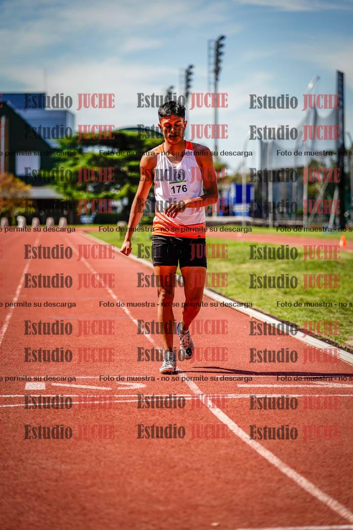 Fotos de los 800 m llanos de varones