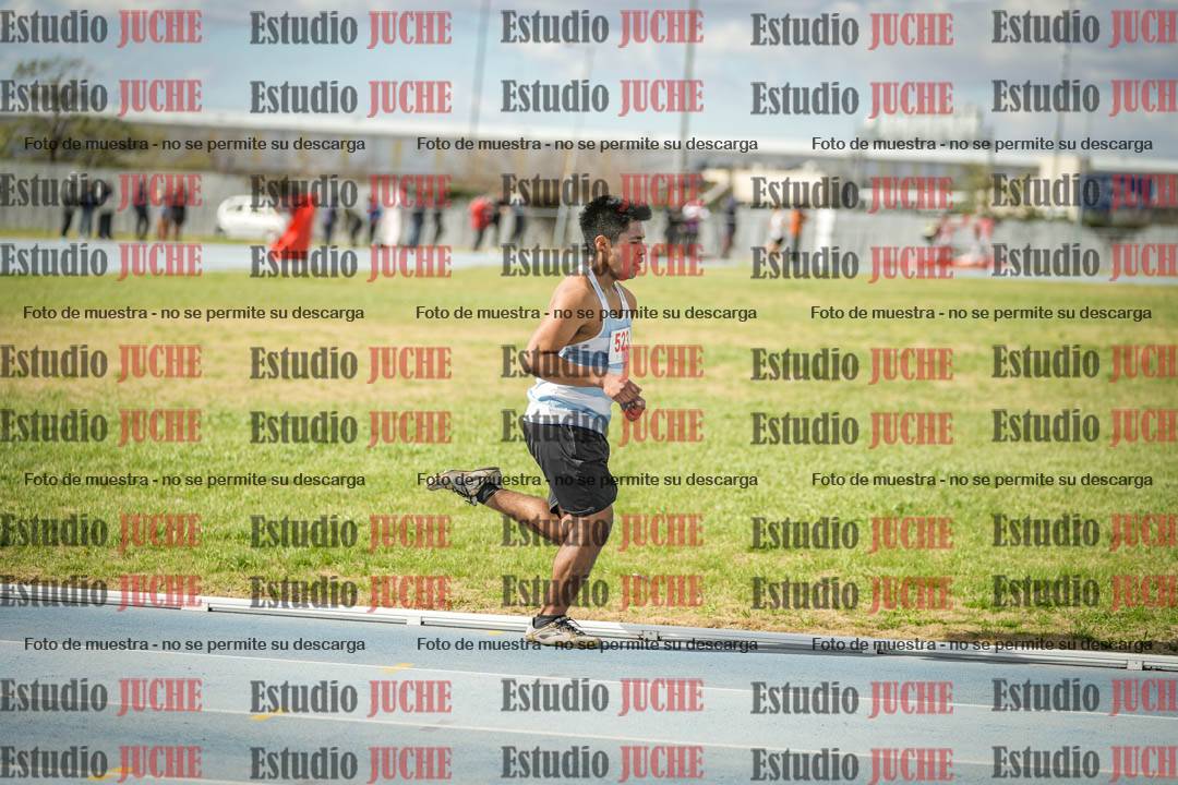 Fotos de los 5000 m llanos de varones