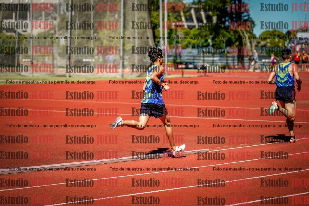 Fotos de los 800 m llanos de varones