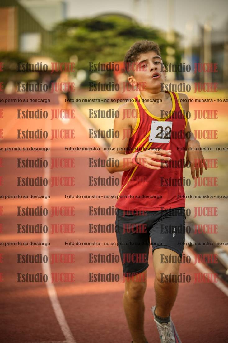 Fotos de los 1500 m llanos de varones
