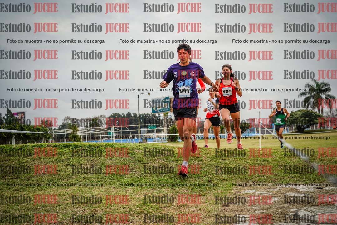 Fotos en el circuito