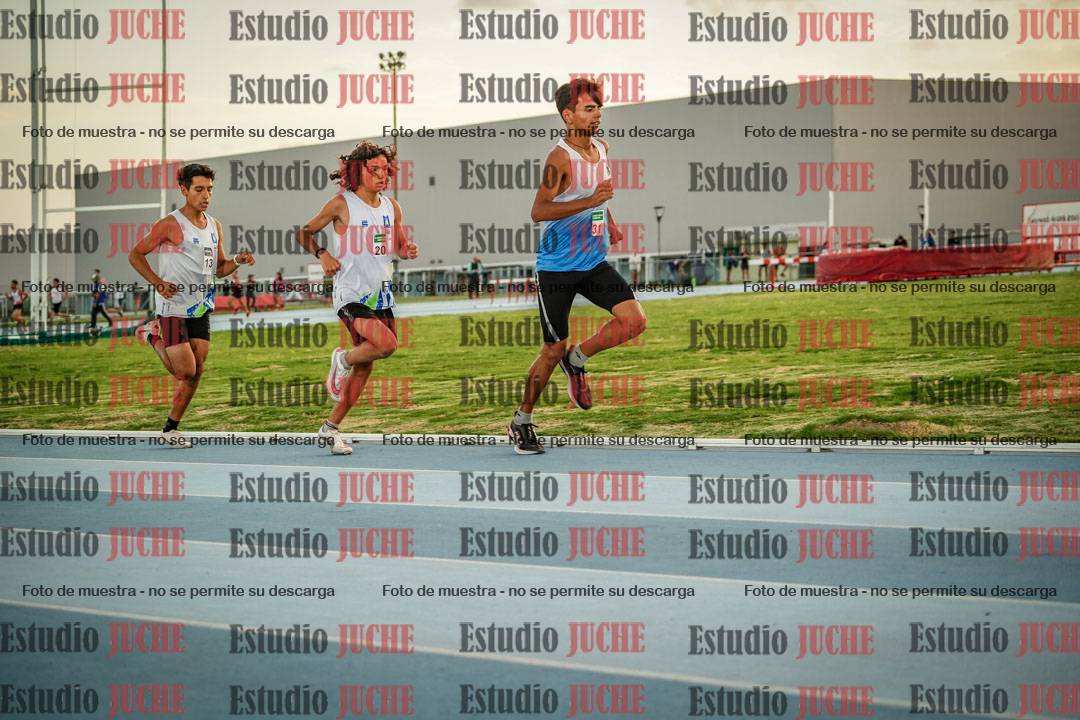 Fotos de los 3000 m llanos de varones