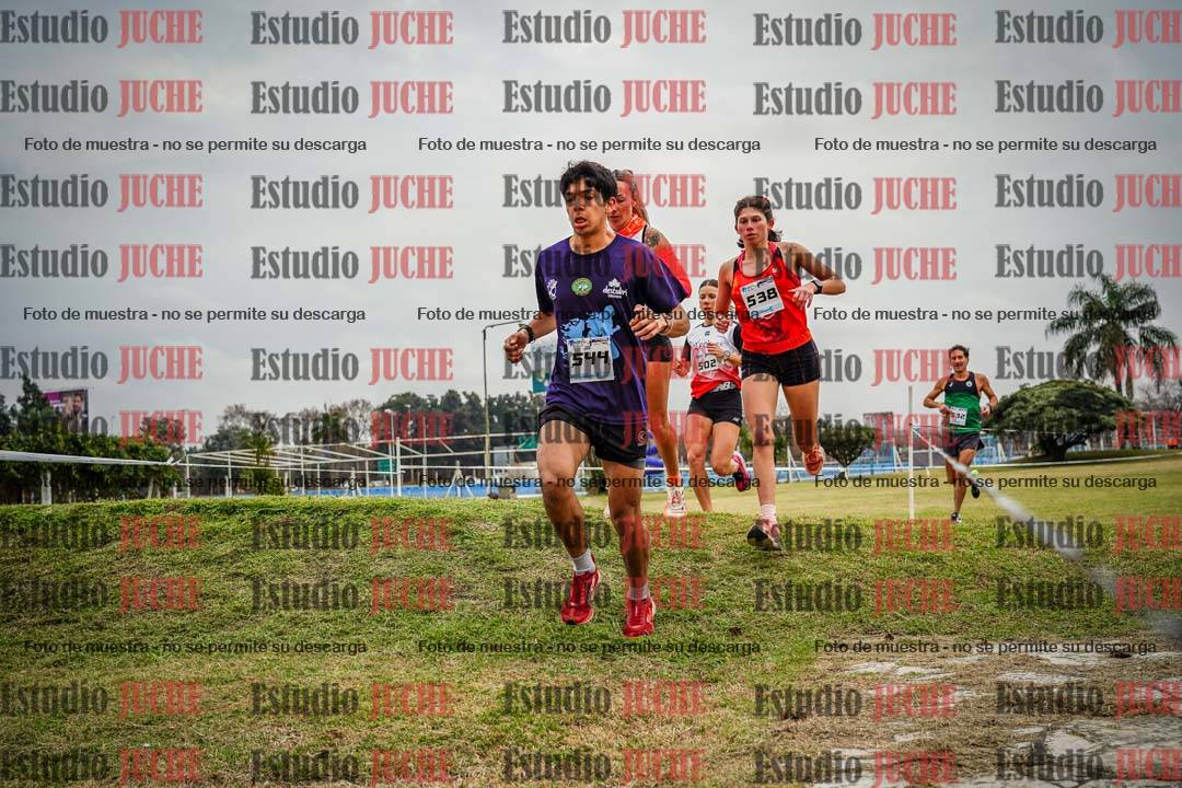 Fotos en el circuito