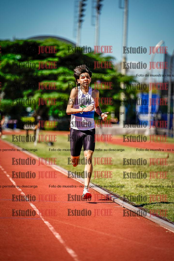 Fotos de los 800 m llanos de varones