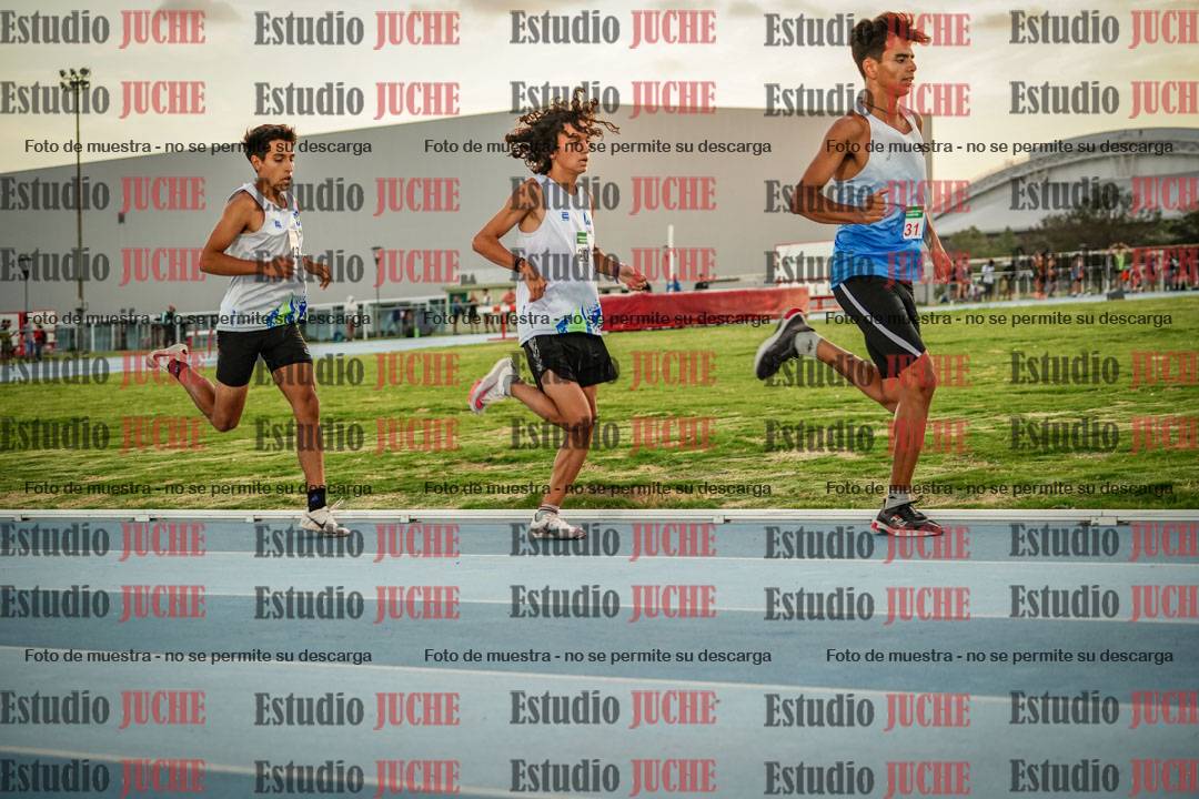 Fotos de los 3000 m llanos de varones