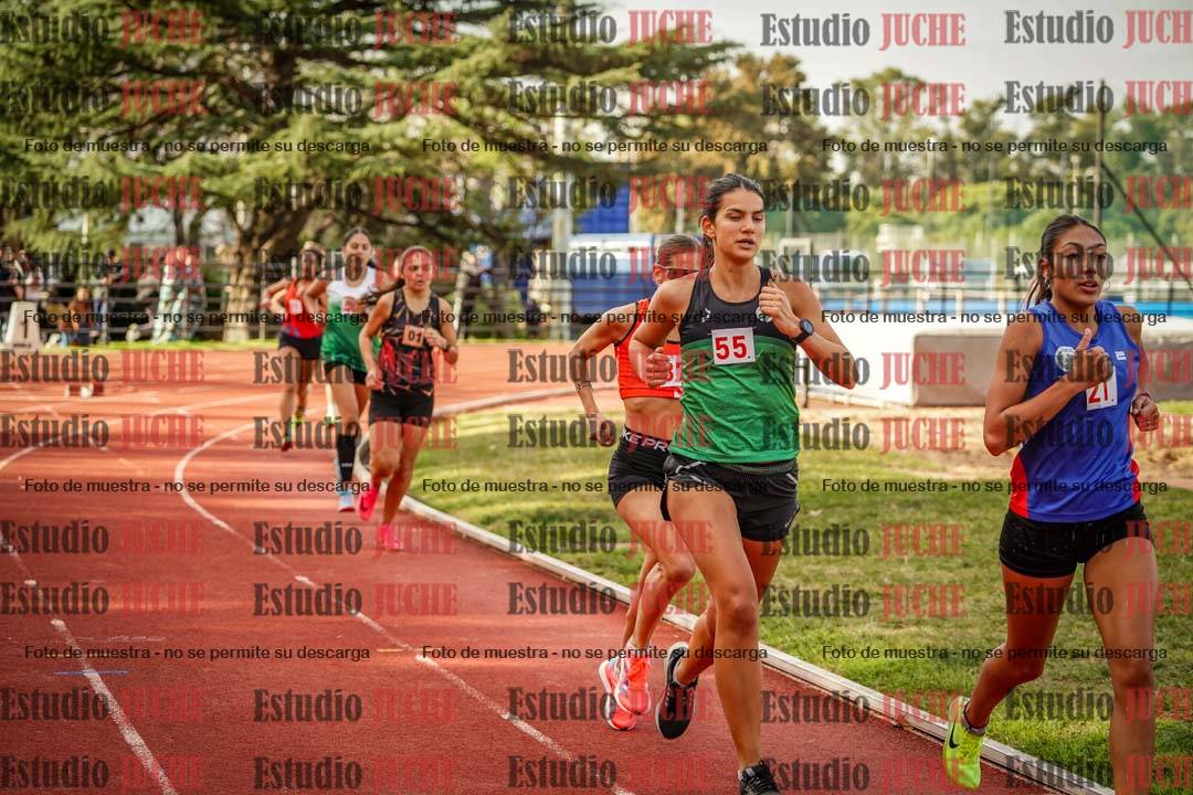 Fotos de los 1500 m llanos de mujeres