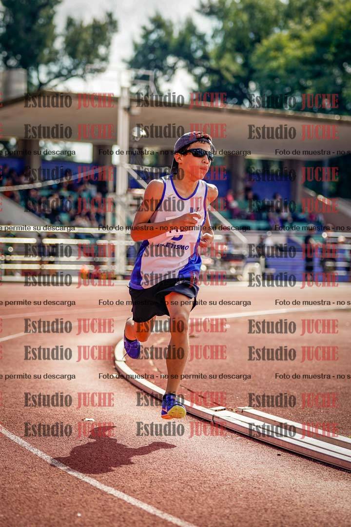 Fotos de los 800 m llanos de varones