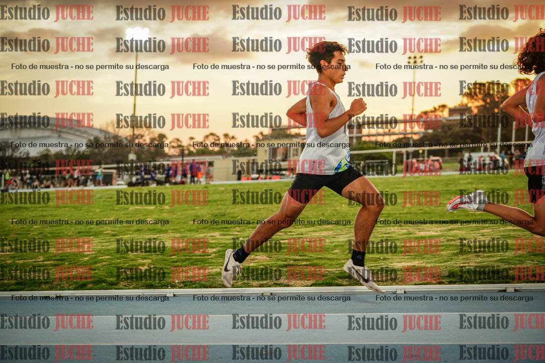 Fotos de los 3000 m llanos de varones