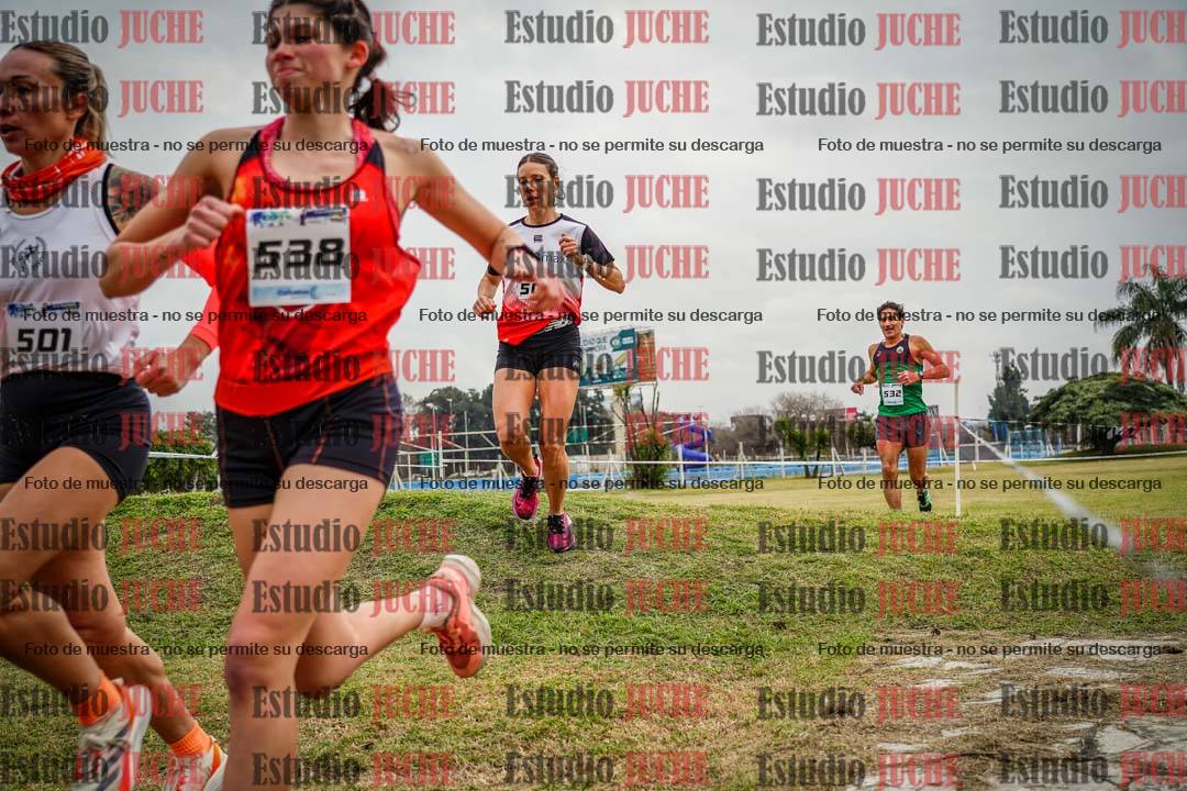 Fotos en el circuito