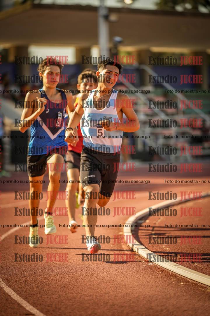 Fotos de los 800 m llanos de varones