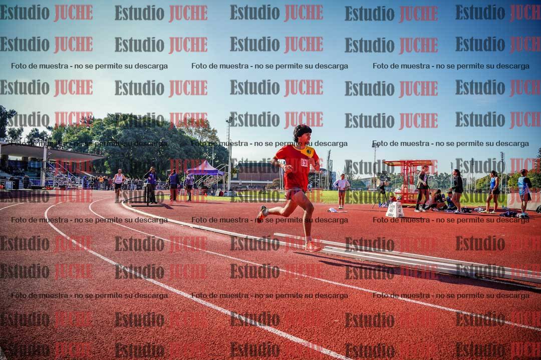 Fotos de los 800 m llanos de varones