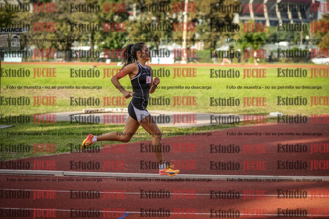 Fotos de los 1500 m llanos de mujeres