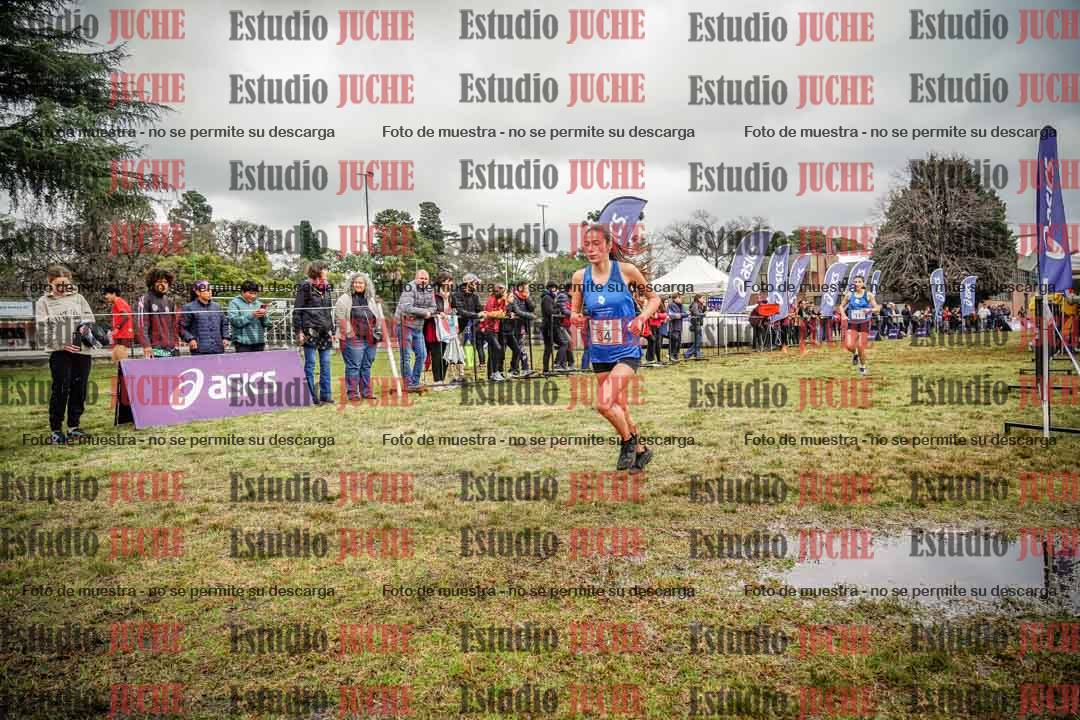 Fotos en el circuito
