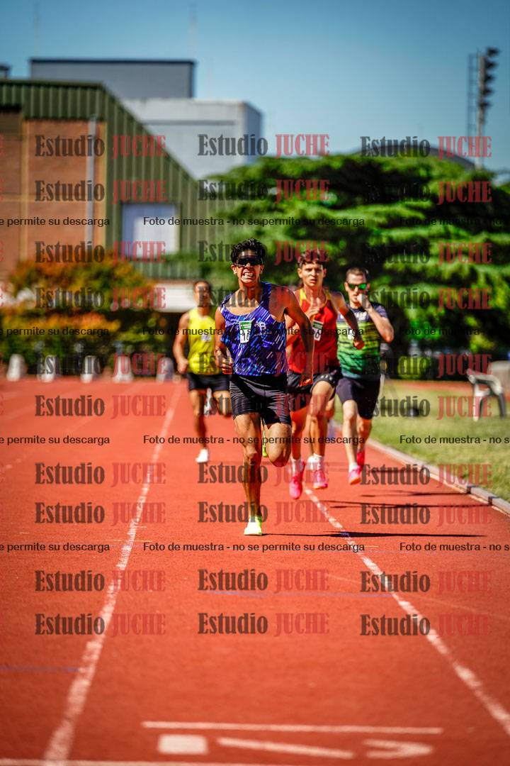 Fotos de los 800 m llanos de varones