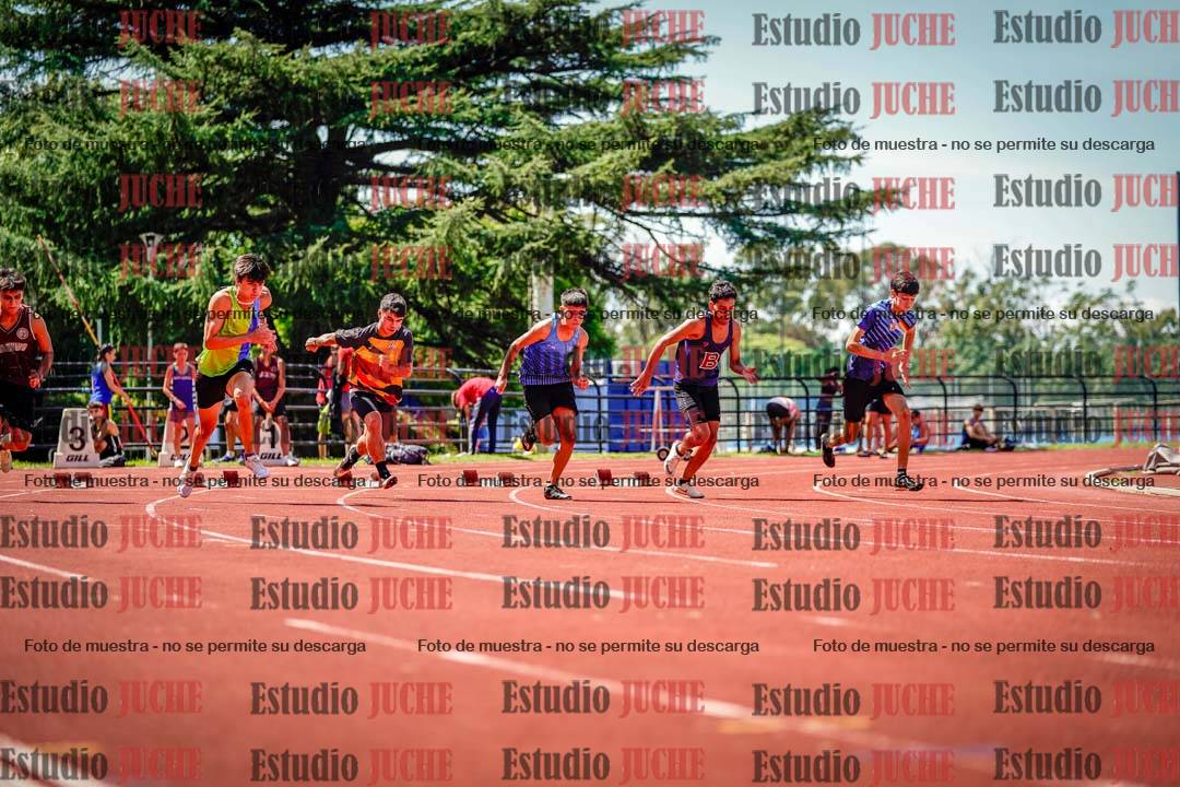 Fotos de los 100 m de varones