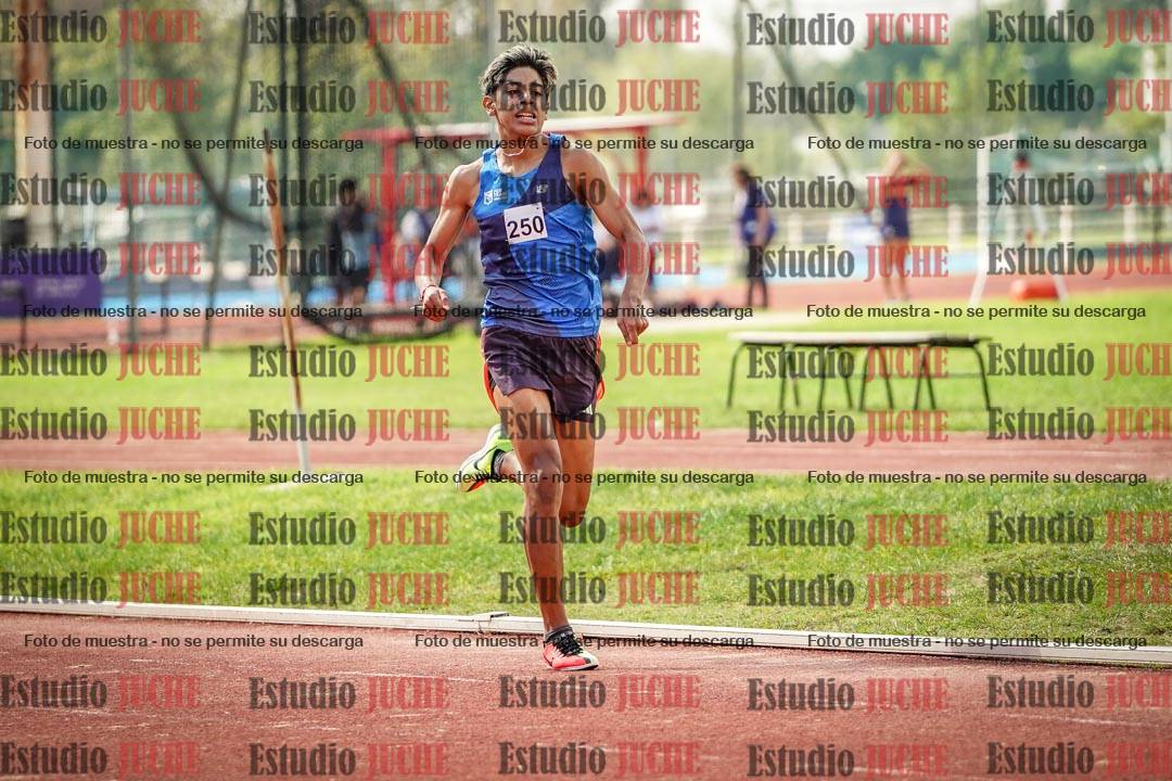 Fotos de los 800 m llanos de varones