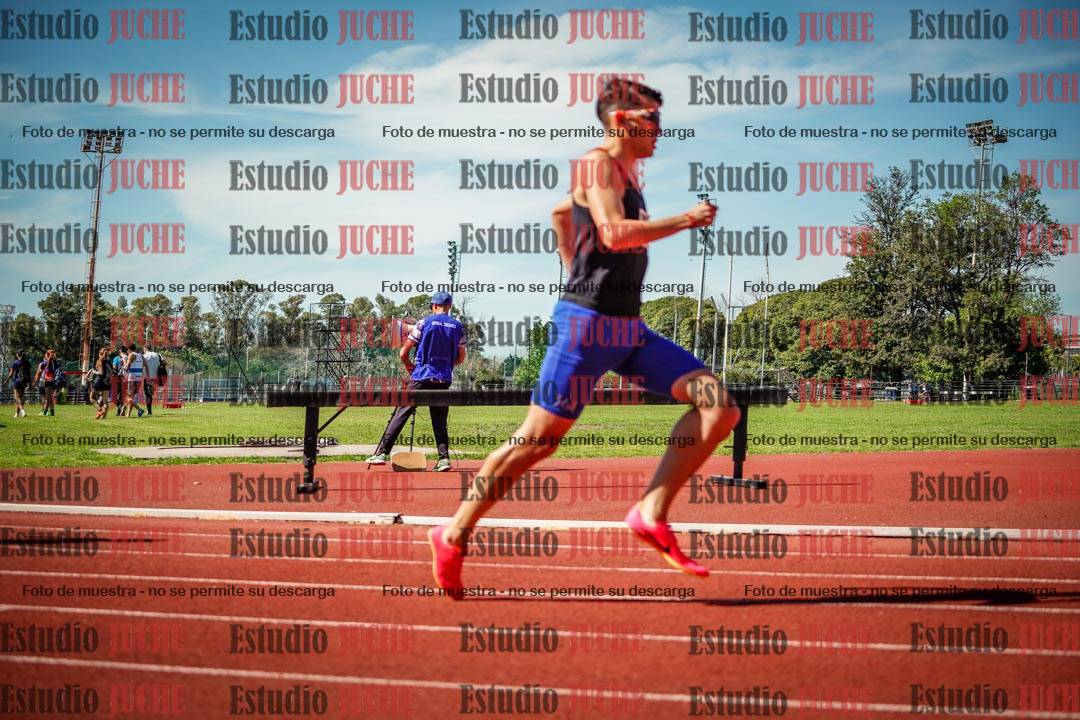 Fotos de los 800 m llanos de varones