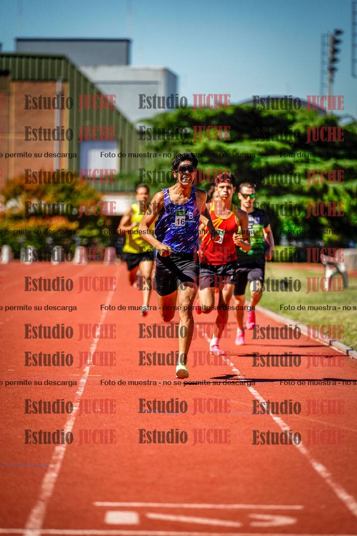 Fotos de los 800 m llanos de varones