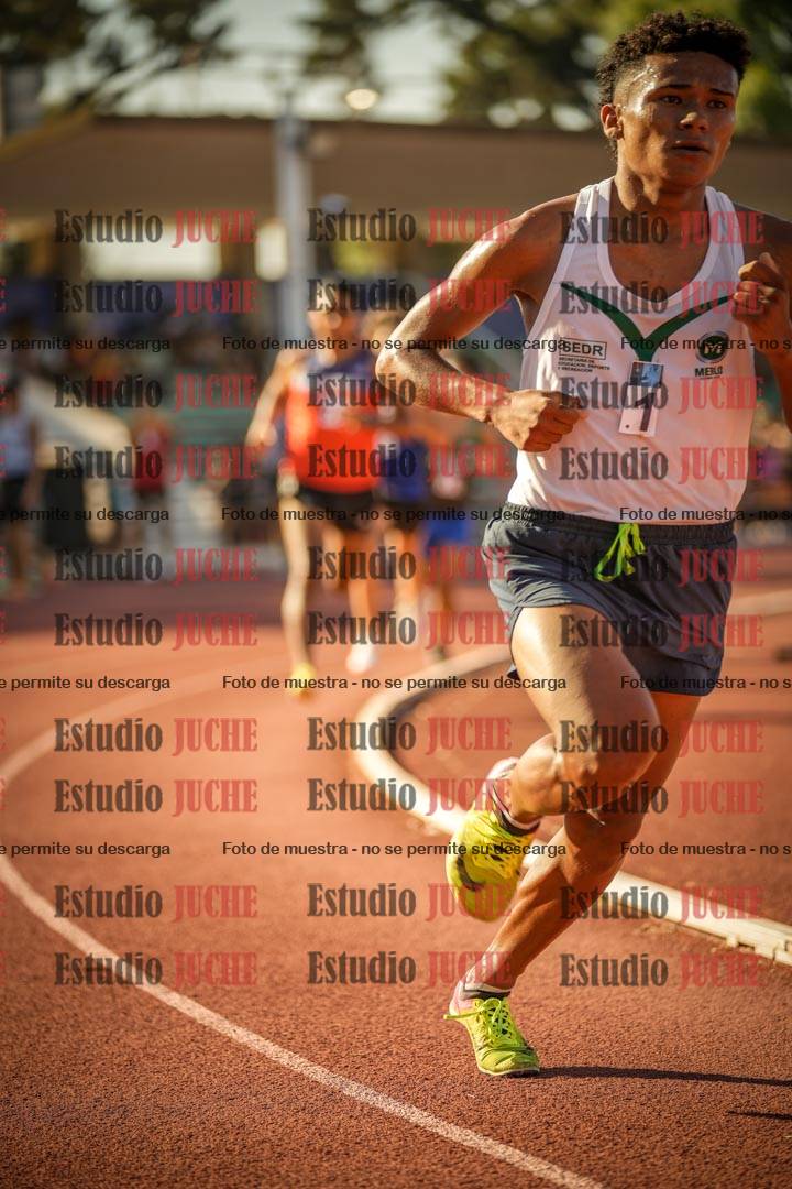 Fotos de los 800 m llanos de varones