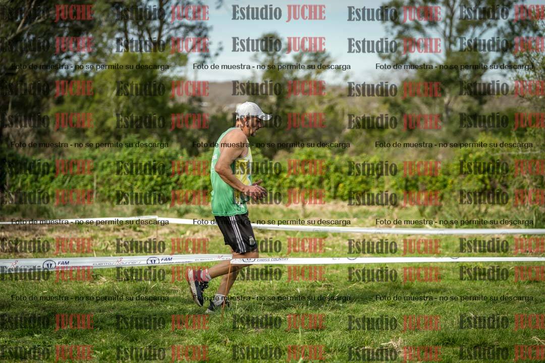 Fotos en el circuito