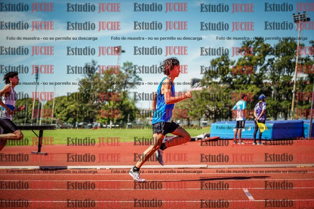 Fotos de los 800 m llanos de varones