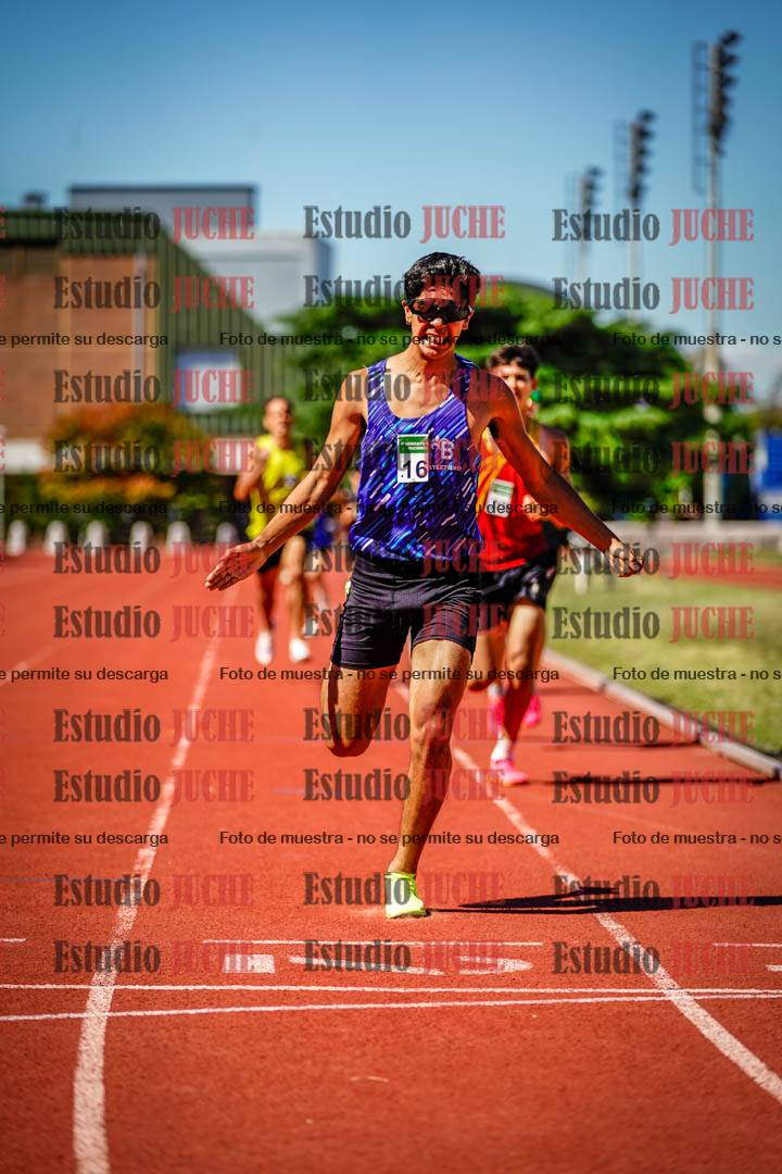 Fotos de los 800 m llanos de varones