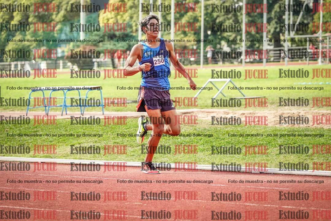 Fotos de los 800 m llanos de varones