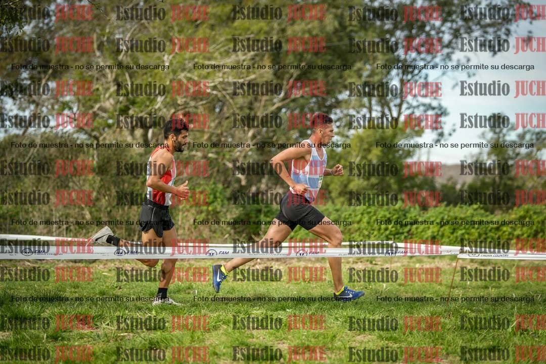 Fotos en el circuito