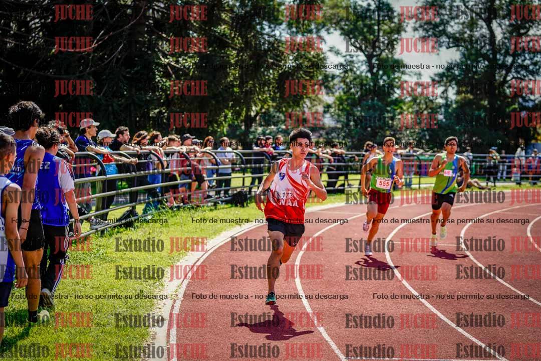 Fotos de los 800 m llanos de varones