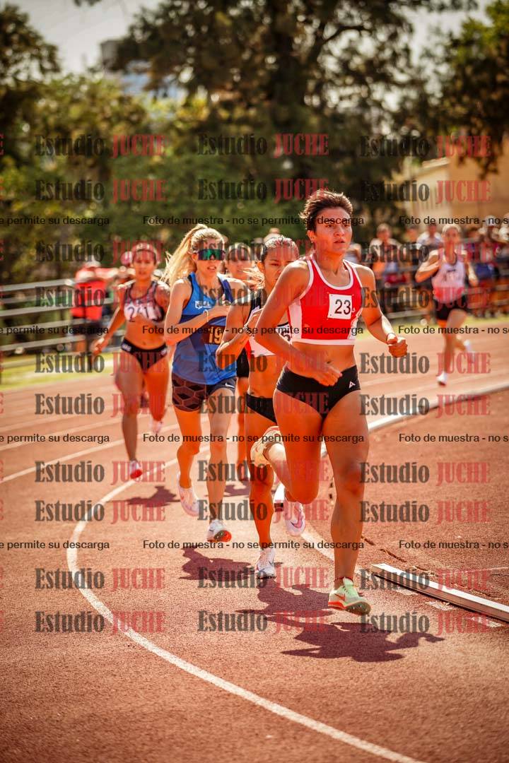 Fotos de los 800 m llanos de mujeres