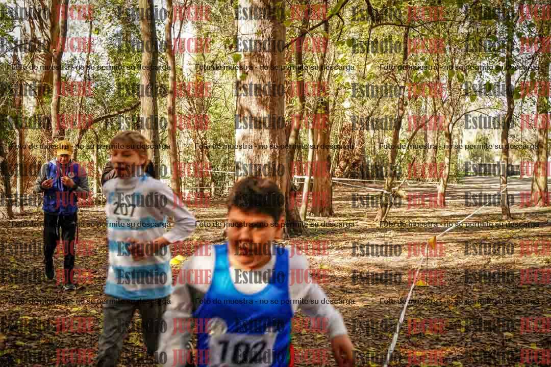 Fotos en de la largada