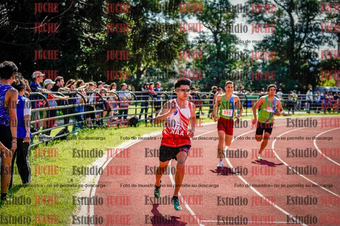 Fotos de los 800 m llanos de varones