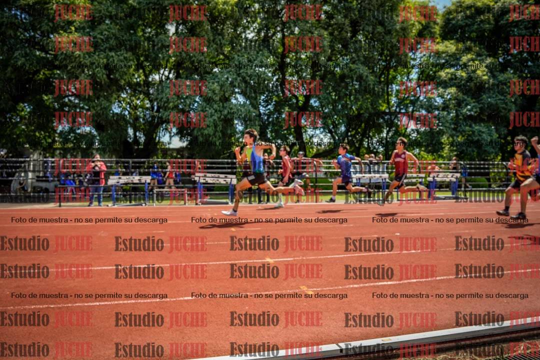 Fotos de los 100 m de varones