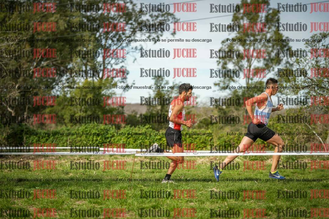 Fotos en el circuito