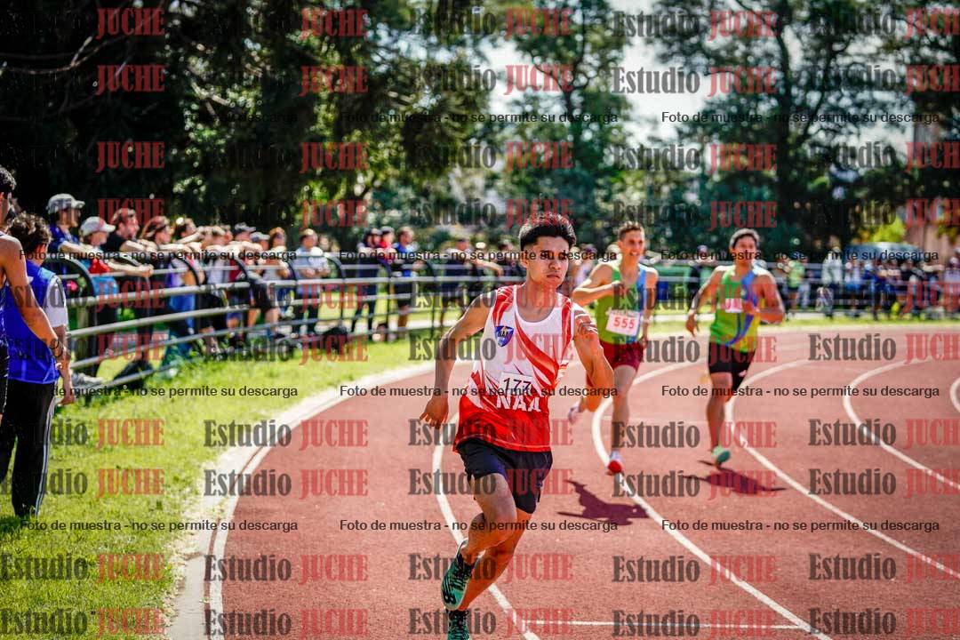 Fotos de los 800 m llanos de varones