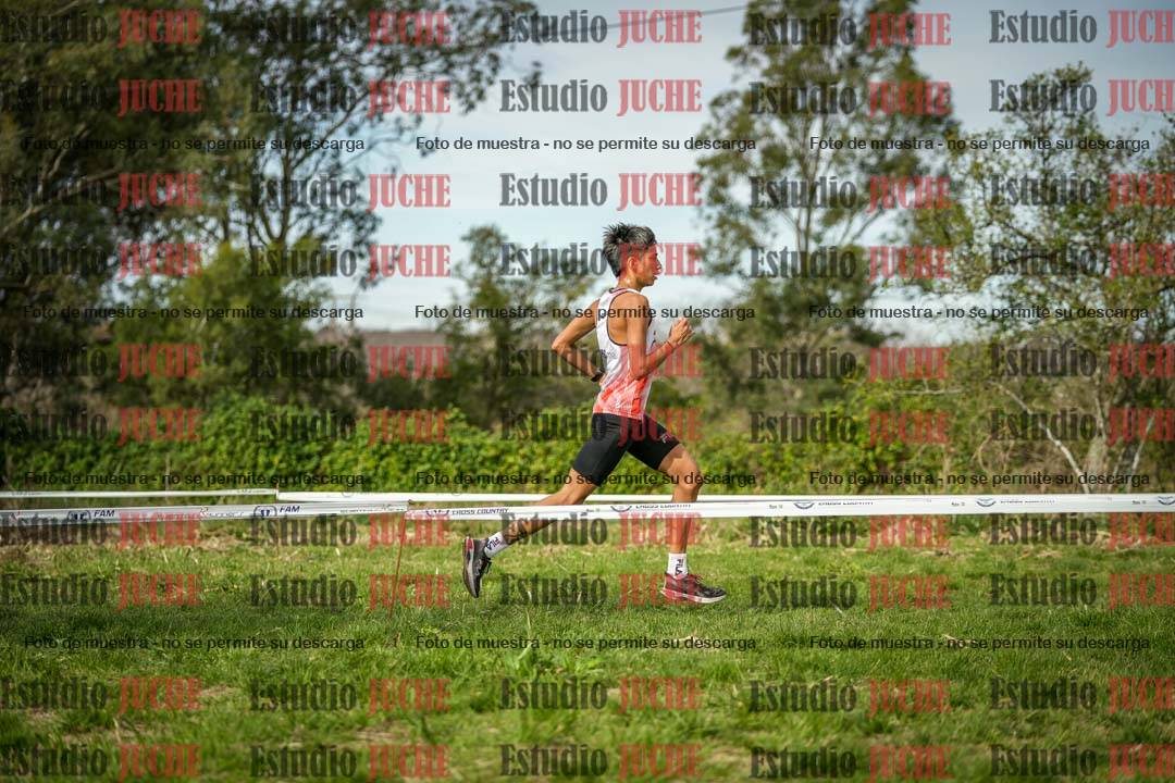 Fotos en el circuito