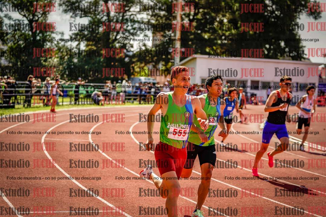 Fotos de los 800 m llanos de varones