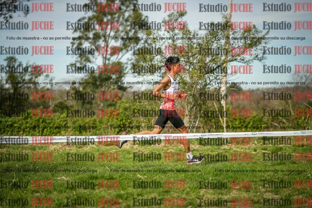 Fotos en el circuito