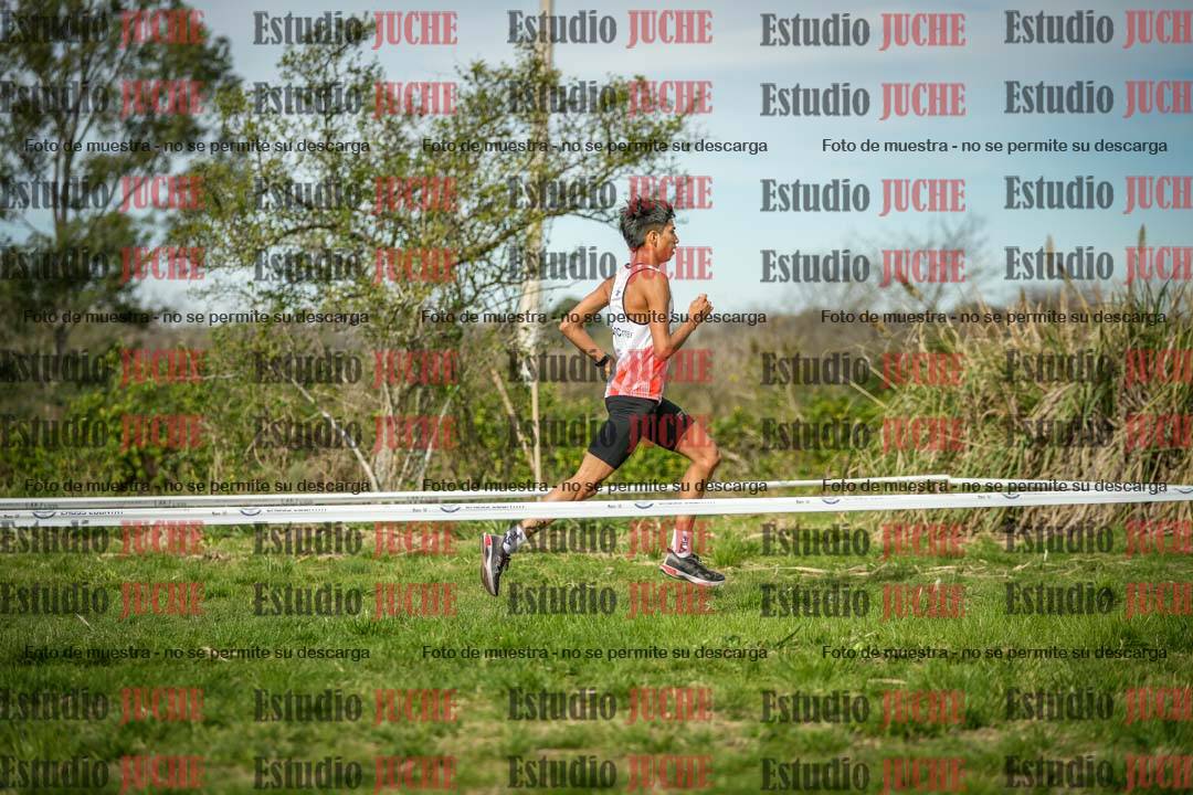 Fotos en el circuito