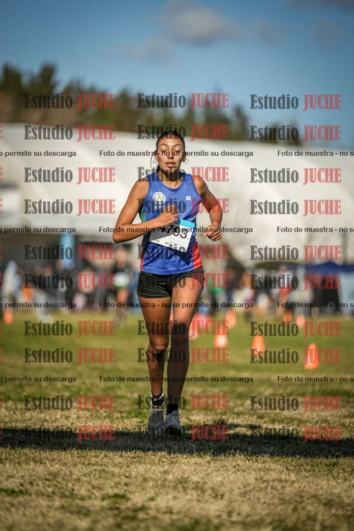 Fotos de las llegadas