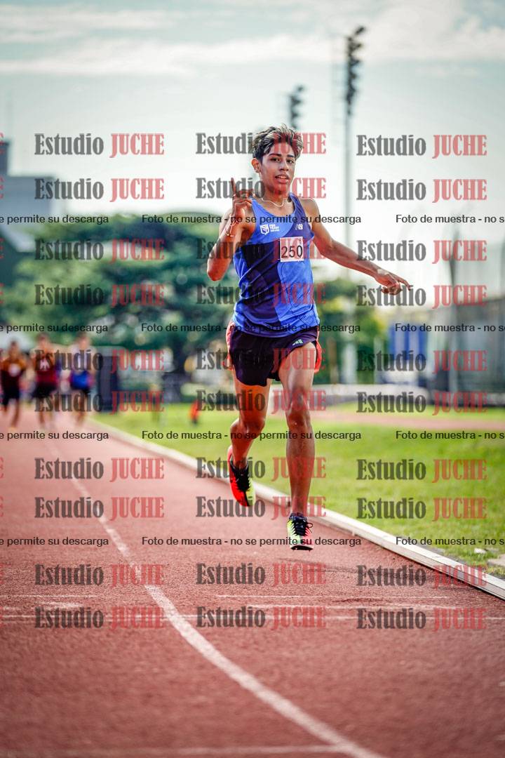 Fotos de los 800 m llanos de varones