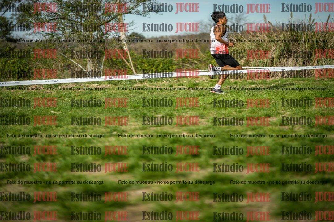 Fotos en el circuito