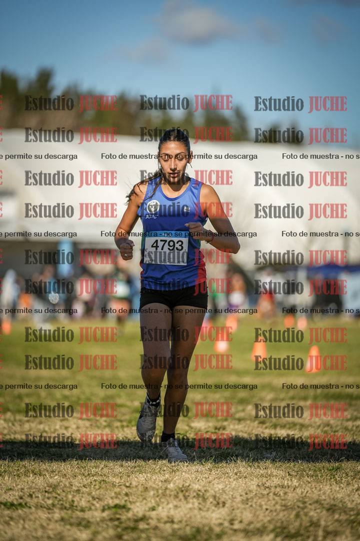 Fotos de las llegadas