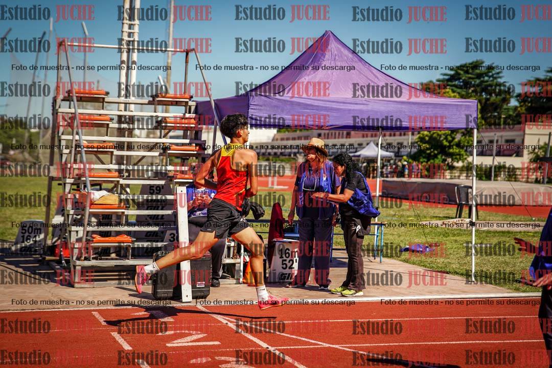 Fotos de los 800 m llanos de varones