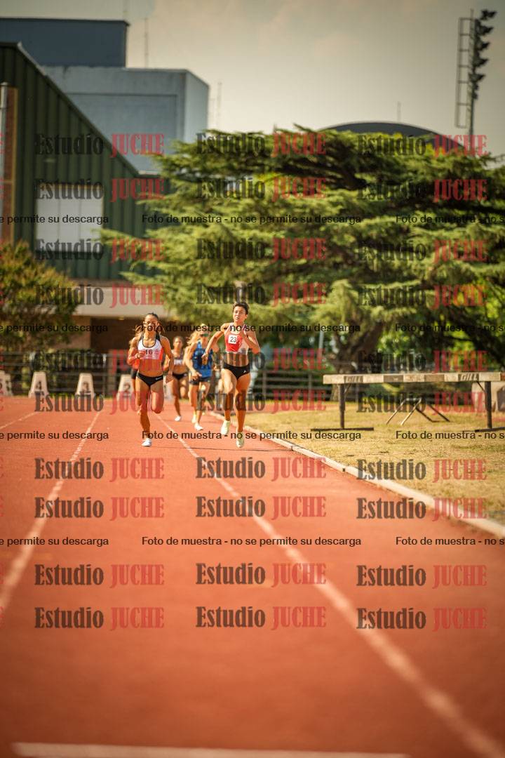 Fotos de los 800 m llanos de mujeres