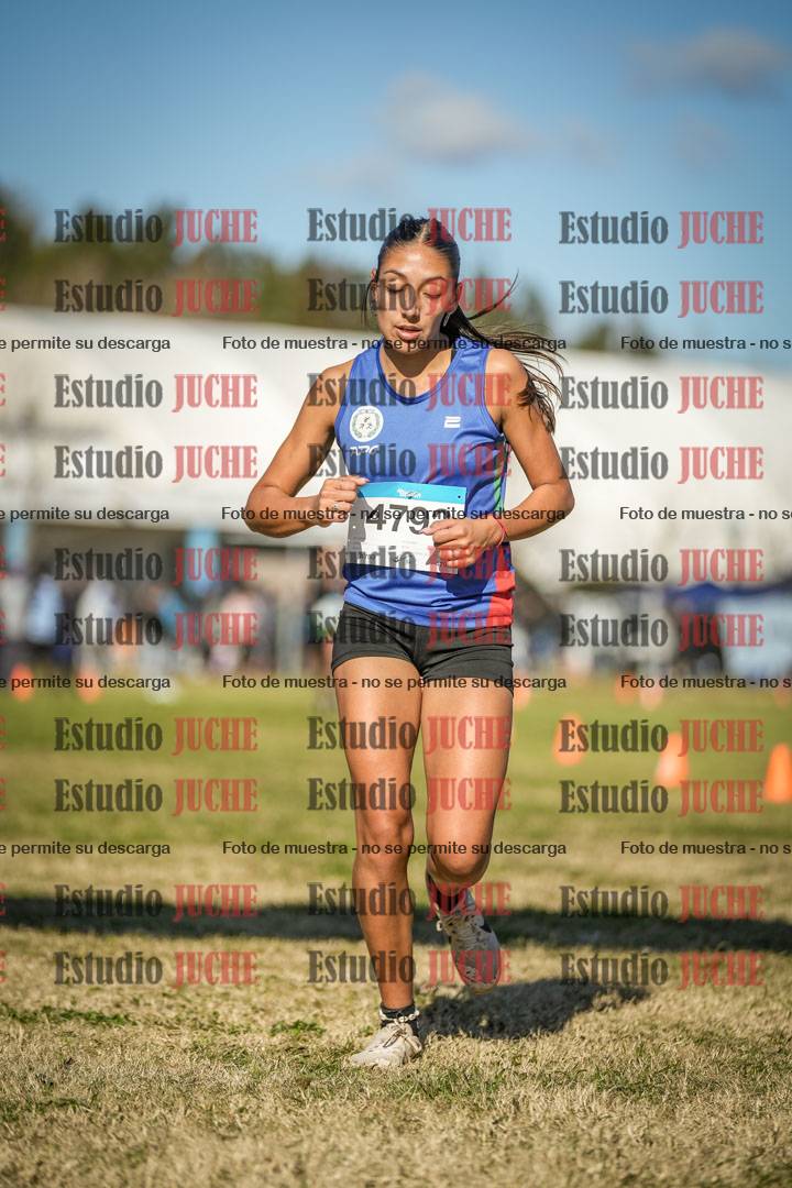 Fotos de las llegadas